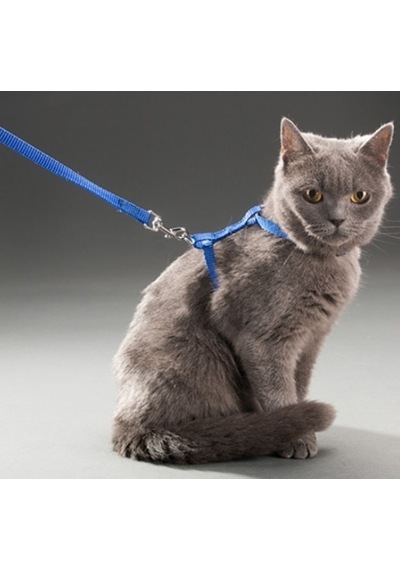 Ayarlanabilir Kedi Tasması 120 Cm 4 Renk N11.220