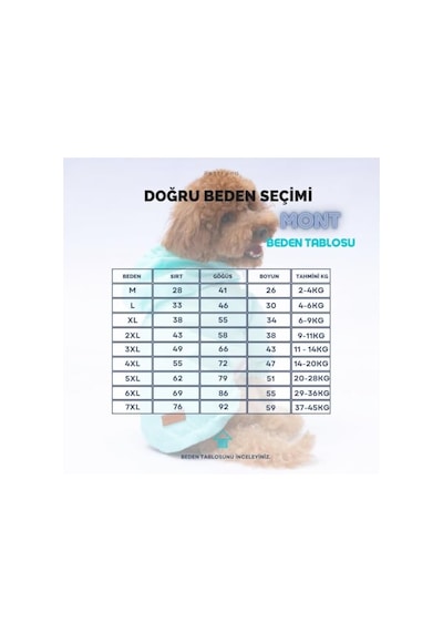 Adonis Kırmızı Mont Köpek Mont Köpek Kıyafeti Köpek Yağmurluğu Küçük-büyük Irklar Xl Açık Gri