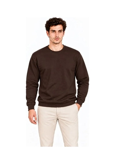 DefyModa Erkek Bisiklet Yaka İçi Şardonlu 2 İplik Düz Uzun Kollu Regular Fit Sweatshirt - Kahverengi