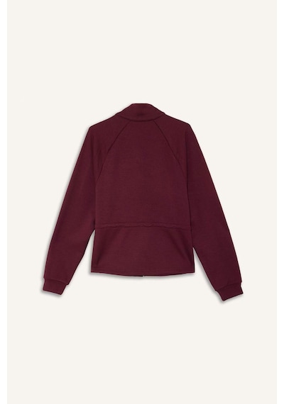 Defacto Standart Fit Dik Yaka Fermuarlı Beli Lastikli İçi Yumuşak Tüylü Modal Hırka G4368ax25wnbr170 Bordo-br170