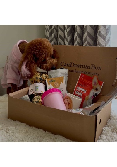 Candostumbox Evcil Hayvan Hediye Kutusu Kedi Köpek Tavşan Kuş B