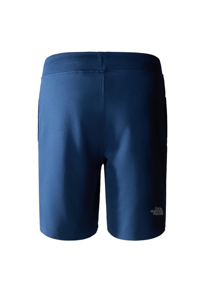 The North Face M STANDARD SHORT LIGHT-EU Erkek Şort NF0A3S4EHDC1