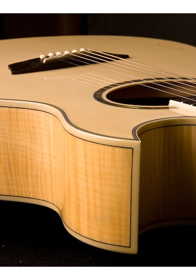 Washburn Ea20 Festival Serisi Elektro Akustik Gitar İnce Kasa Thinline Sahne Performansı Klasiği
