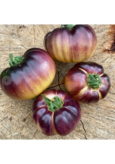 Mor Beyaz Great White Purple Domates Tohumu 15 Tohum