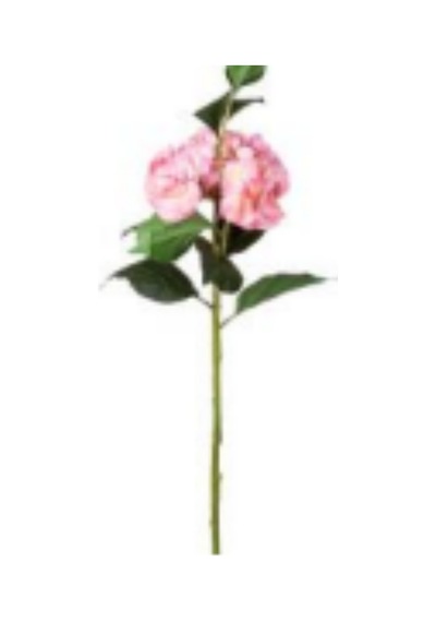 Yapay Çiçek Şakayık Buket 7 Dal Krem 41 Cm. Çok Renkli