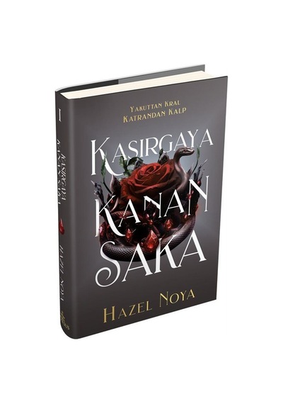 Kasırgaya Kanan Saka 1 Ciltli / Hazel Noya