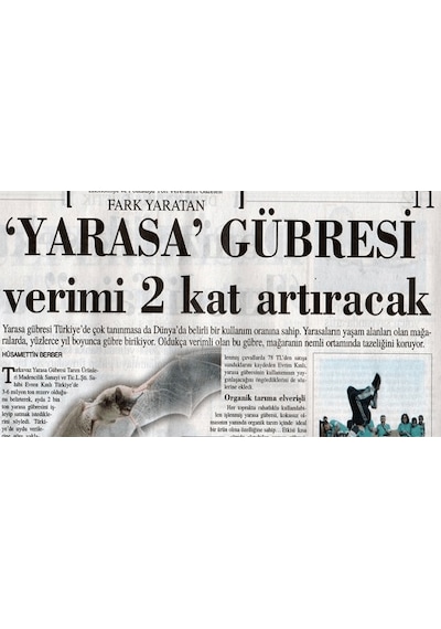 500 ML Turkuvaz Bat Power Organik Sıvı Yarasa Gübresi