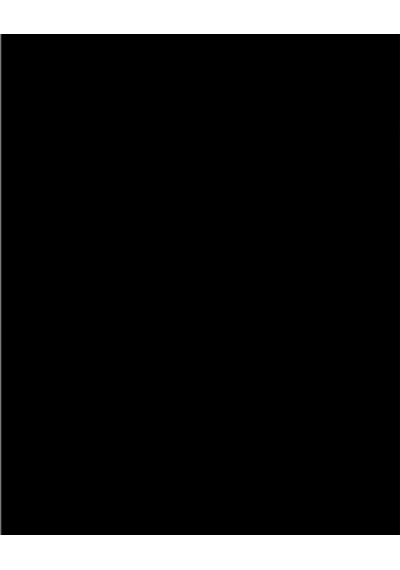Zepplin Giyim Chicago Yazı Büyük Sırt Patch Yama Siyah