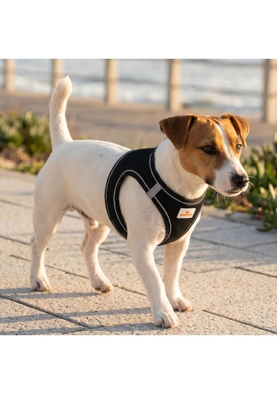 Köpek Ve Kedi Göğüs Tasması Xl Nefes Alabilen File Kumaş Ayarlanabilir Yelek Tasarım Yansıtıcı Şeritli Küçük Irk Köpek Ve Kediler İçin