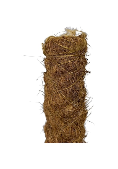 Yosun Bitki Destek Çubuğu 80 Cm Diğer