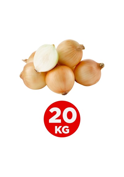 Kuru Soğan 20 KG