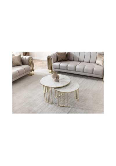 Usta Mekan Lotus Gold Marmo Lak Panel 1+1 Orta Sehpa Çok Renkli
