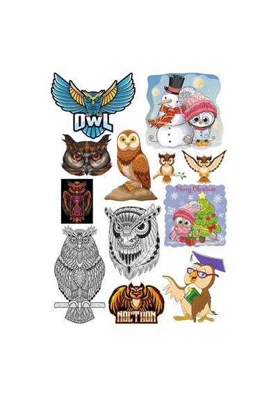 Baykuş Owl Sticker Set 11 Parça Telefon, Tablet, Defter, Laptop Sticker