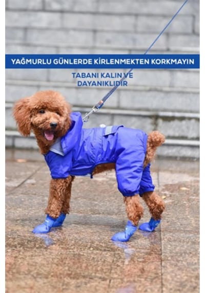 Kedi Ve Köpekler İçin Pati Ayakkabısı, Silikon Kaymaz Taban Cırt Cırtlı Pati Ayakkabısı
