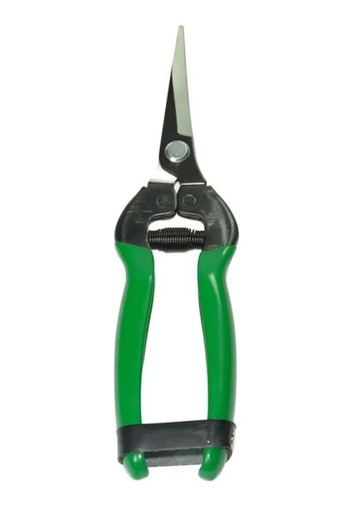 Tedar 429e5 - Düz Bıçak Narenciyemakası 184 Mm Najmaddin Standart