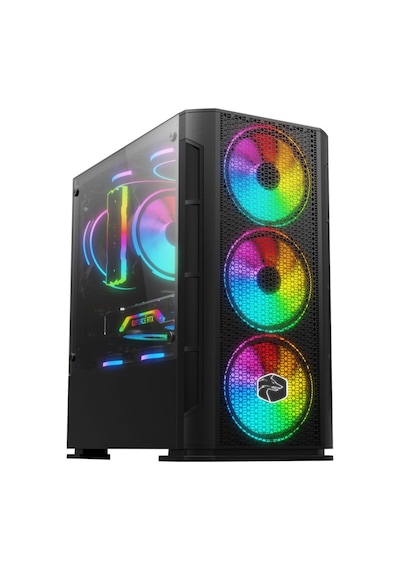 Apphirex TC55 R5-5500 16 GB 512 GB M.2 SSD RX550 23.6" W11P Masaüstü Oyuncu Bilgisayarı