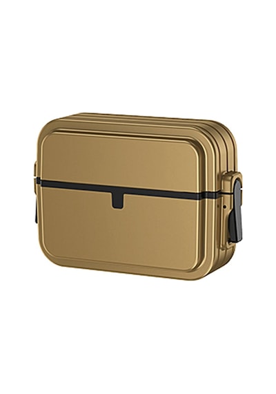 Apple Uyumlu AirPods 3. Nesil İle Kılıf Kilit İnce Çizgi Dizayn Case 404 Gold