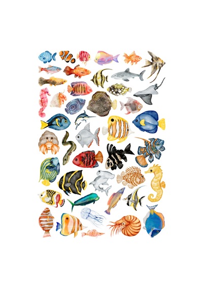 44 Adet Suluboya Balık Sticker Seti - Etiket Seti Scrapbook Bullet Journal Çok Renkli