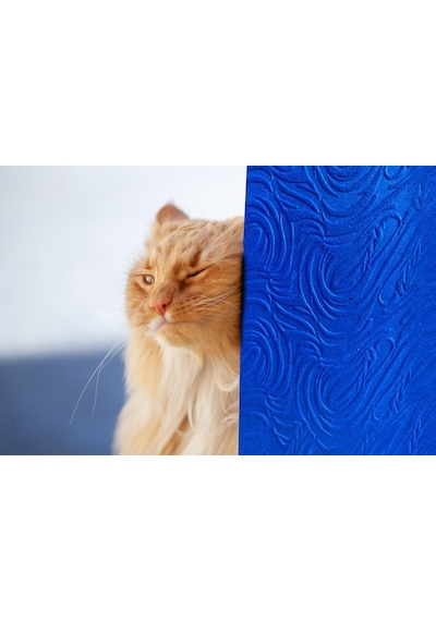 Tink 3d Kendinden Yapışkanlı Akustik Keçe Panel Dalgalı Desenli 52x98 Cm 10 Adet 5 M² Mavi