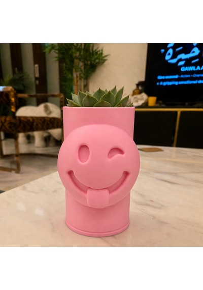 3d Baskı Emoji Planter - Göz Kırpan Yüzlü Sukulent Saksısı-pembe