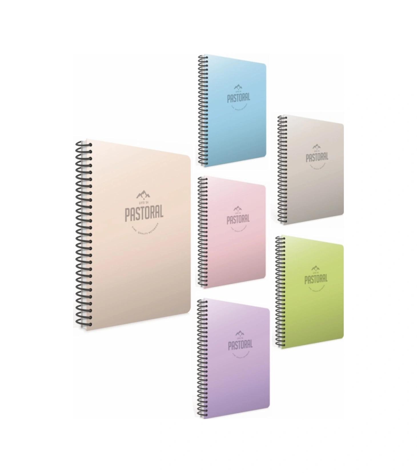 Pastoral 4'lü A4 96 Yaprak Kareli Spiralli Pp Kapak Defter Karışık