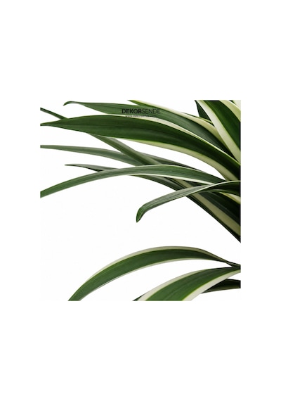 Yapay Ağaç Agave Alacalı Yeşil 45 Cm