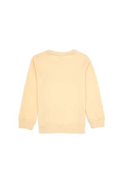 U.S. Polo Assn. Erkek Çocuk Beyaz Basic Bisiklet Yaka Sweatshirt 50313830-VR110