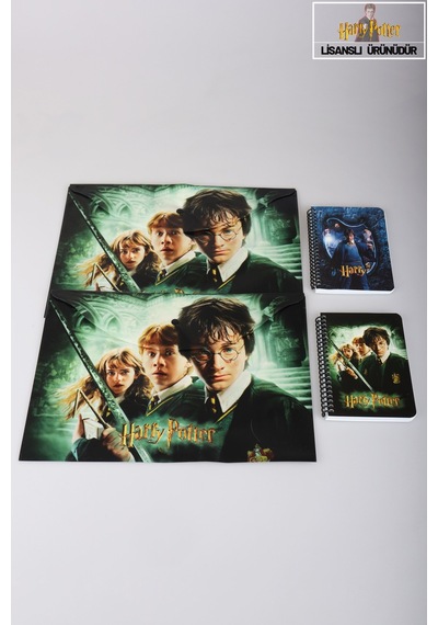 Dekomus İle Lisanslı Harry Potter 2 Adet Çıtçıt Dosya Ve 2 Adet Spırallı A6 Çizgili Not Defteri / Bloknot Okul Seti Altın