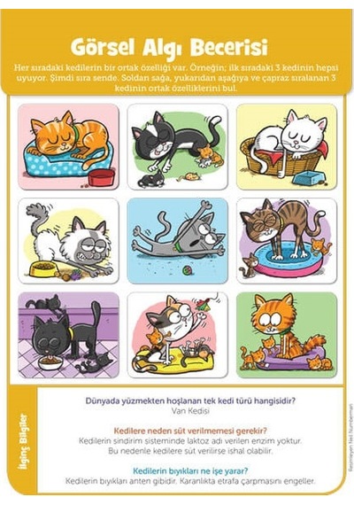 Focus_Gelişim Jumbo Kitap Dikkat Geliştirici Aktiviteler