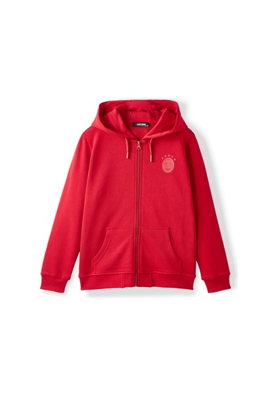 Gsstore Galatasaray Çocuk Zip Hoodie C252078 Kırmızı