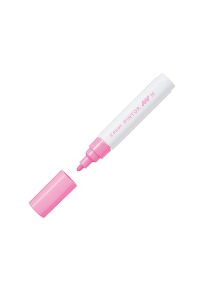 Pilot Pintor M Pembe Sw-pt-m-p Çok Renkli