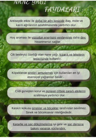 Lavendrose Nane Uçucu Yağı %100 Saf Difüzör Için Aromaterapi Yağı