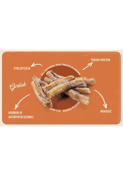 Baffs Naturals Kuzu Gırtlak Doğal Çiğnemelik Köpek Ödül Maması 100 G