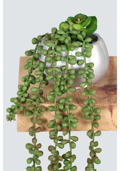 Yapay Çiçek Deposu Gümüş Mini Kabak Saksıda Succulentli Sarkan Tesbih Çiçeği 42 Cm