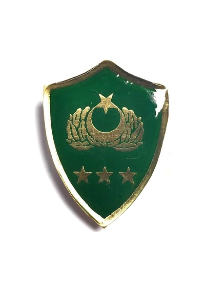 Minyatür Rütbe Albay Sağlık Sınıfı Altın