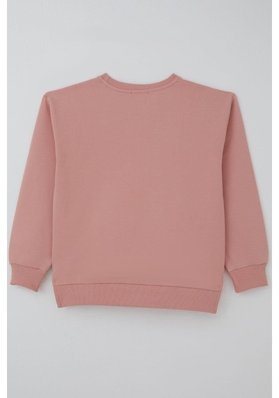 Breeze Kız Çocuk Sweatshirt Simli Kurdeleli Kalp Baskılı 9-14 Yaş, Gülkurusu Gül Kurusu Breeze Kız Çocuk Sweatshirt Simli Kurdeleli Kalp Baskılı 9-14 Yaş, Gülkurusu Gül Kurusu