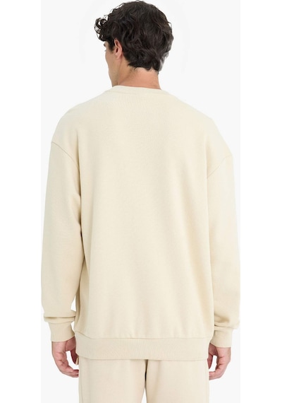 DeFacto Boxy Fit Bisiklet Yaka Basic Düz Pike Sweatshirt E1519AX25SPBG155