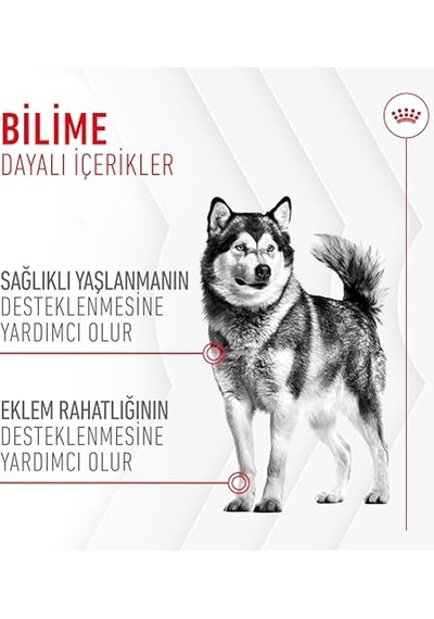 Ayrex Joint&ageing Chews Yetişkin Köpekler İçin Eklem Ve Zindeliklı Yaşlanmayı Destekleyen Tamamlayıcı Ödül M