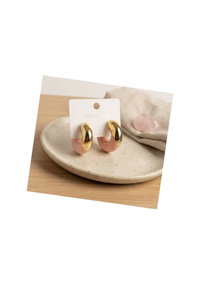 316l Çelik Gold Renk Pembe Halka Model Kadın Küpe Tj-bkp12032 Evimdeyokyok