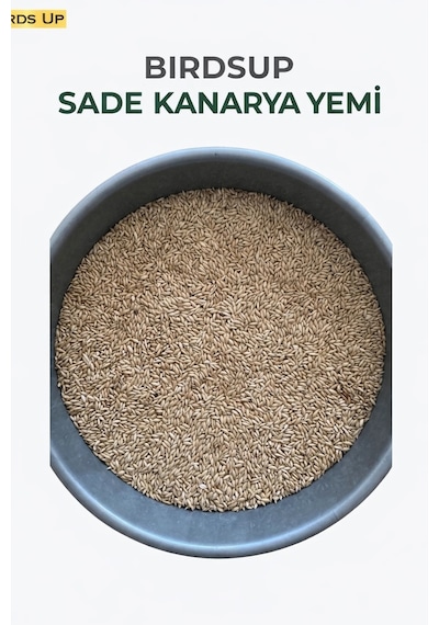Birds Up Sade Kanarya Yemi 25 KG