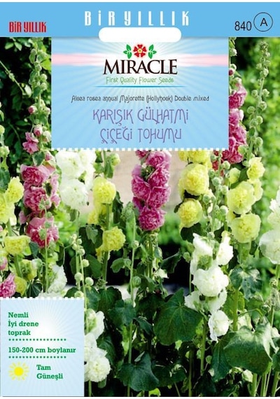 Miracle Karışık Renkli Katmerli Gül Hatmi Çiçeği Tohumu 40 Tohum