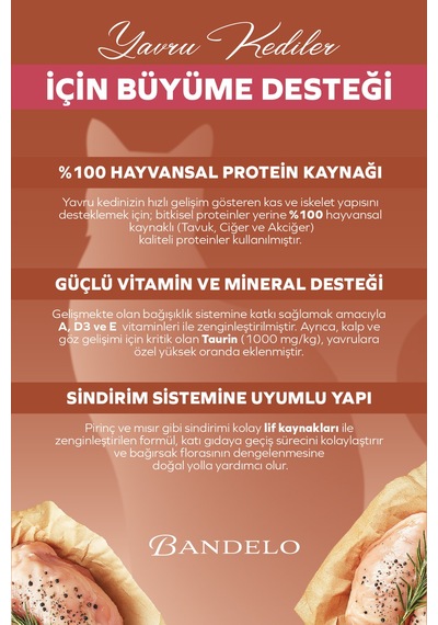 Tavuklu Yavru Kedi Yaş Maması - Jöle İçinde Vitamin İlaveli %100 Hayvansal Protein, 85 Gr X 24 Adet