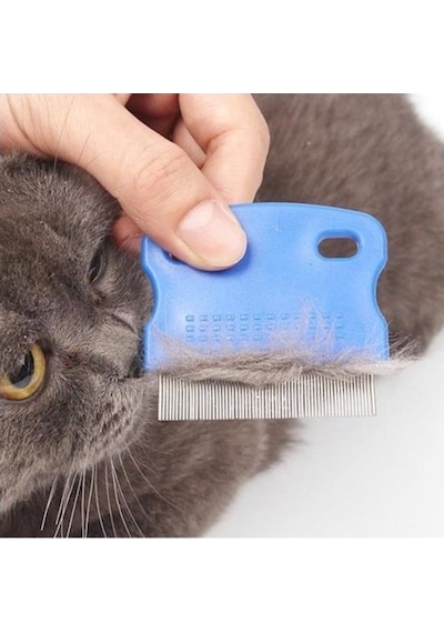 Büro Ev Evcil Hayvanı İçin Kedi Köpek Pire Tarağı