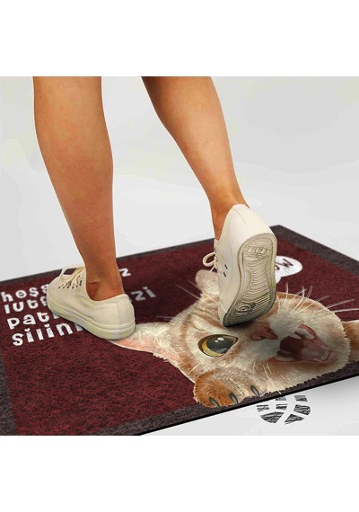 Tasarımlı Dekoratif Kapı Önü Paspas, Dış Mekan/ev İçi/banyo/mutfak/yatak Odası/giriş Paspasları Patileriniz Çok Renkli