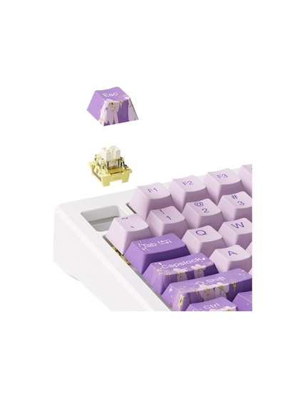 Akko MOD 007 HE PC Purple Melody Hall Effect Cream Yellow Magnetic Switch RGB Mekanik Oyuncu Klavye