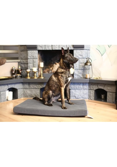 Arya Serisi Ortopedik Premium Kedi Ve Köpek Yatağı 80x60 Cm