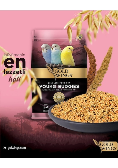 Gold Wings Premium Yavru Muhabbet Kuşu Yemi 1 Kg