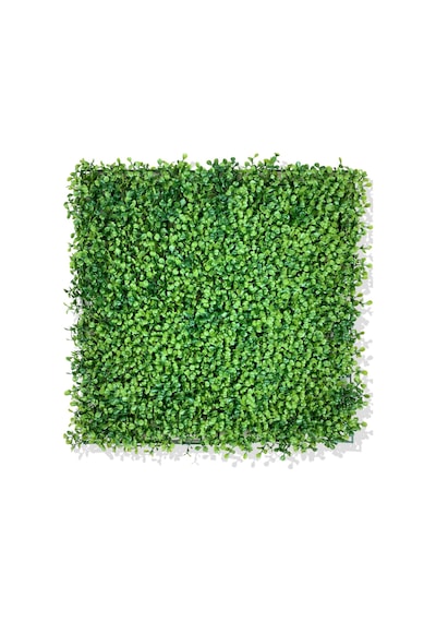 Cihan Çiçekçilik U.v Dayanımlı Yapay Şimşir Bitki Duvar Kaplama 50x50 Cm Yeşil Beyaz- Yeşil
