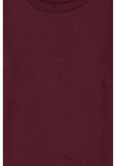 U.s. Polo Assn. Erkek Çocuk Plum Kazak /triko 50317136-vr177 New Plum