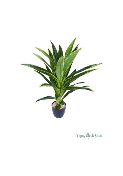 Yapay Çiçek Sitesi Plastik Saksıda Dracena Ağacı Limon Yeşili 105 Cm Yeşil